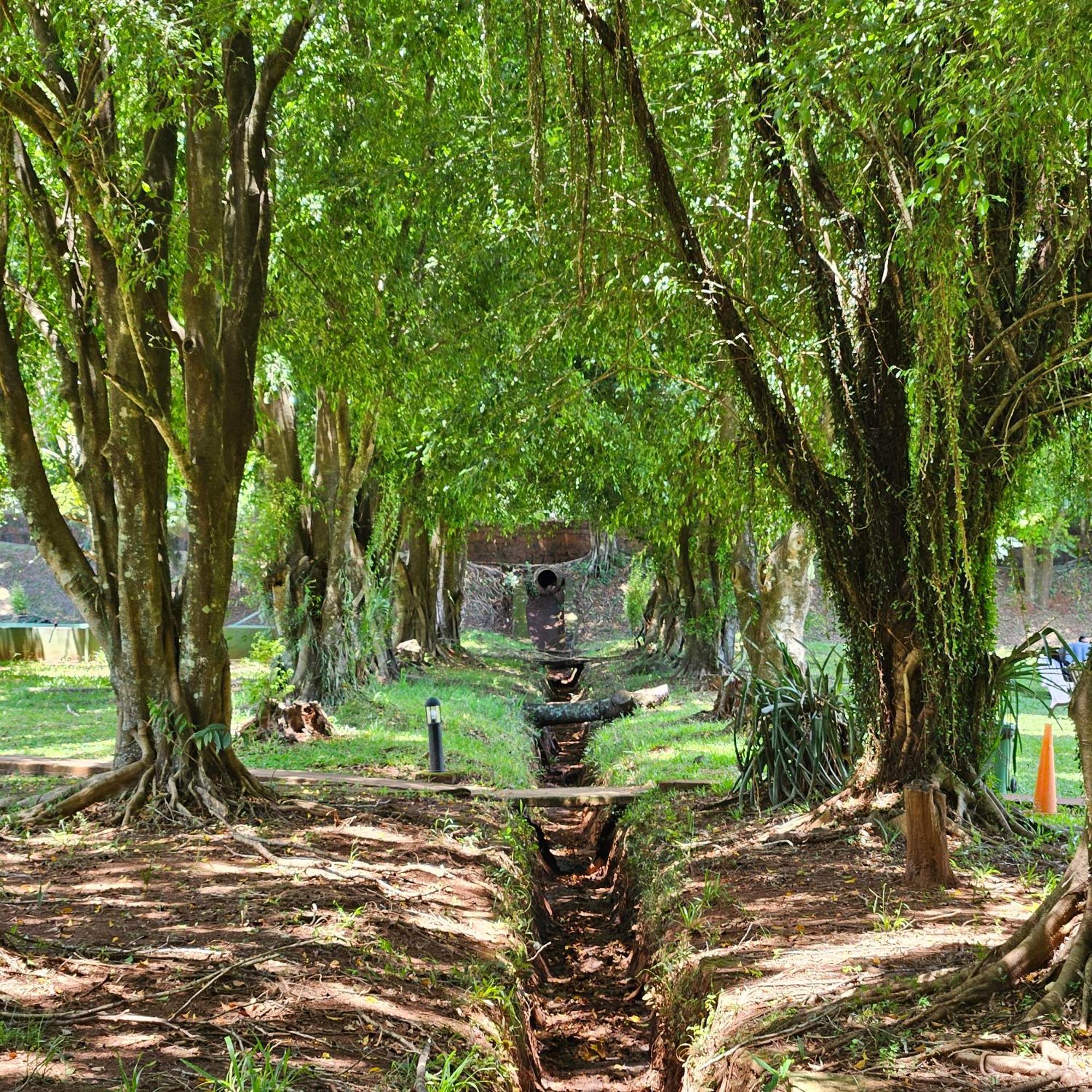Cabanas El Refugio Del Mensu Puerto Iguazú Exteriér fotografie